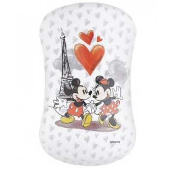 DESSATA Cepillo mickey mouse 1 ud